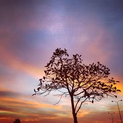 Low angle view of silhouette tree against sky during sunset