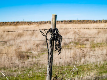 Close-up of barbed wire fence on field