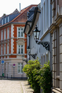 Potted plants on street against buildings