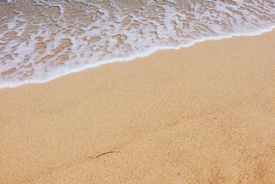 Scenic view of beach