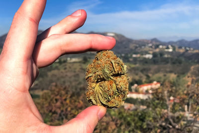 Close-up of hand holding marijuana against mountain