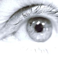 Extreme close up of human eye