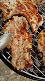 Close-up of tree trunk