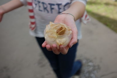 Cropped hand holding ice cream