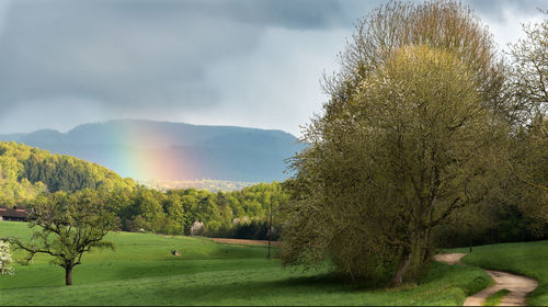 Scenic view of grassy field against cloudy sky