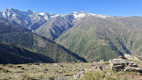 mountain
