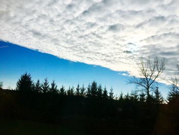 Low angle view of silhouette trees against sky