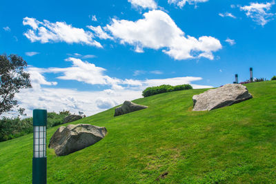 Trees on grassy field against cloudy sky