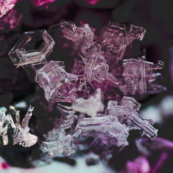 Close-up of amethyst