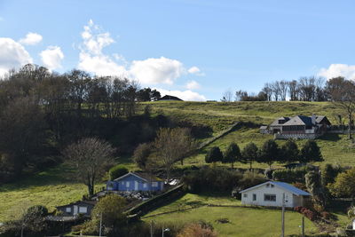 Trees and houses on field against sky