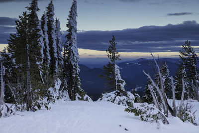 Scenic view of snow covered landscape