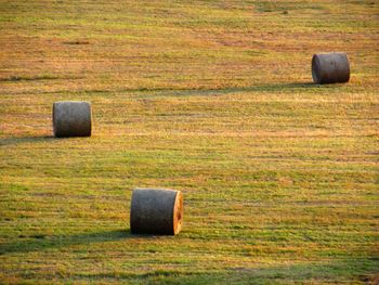 Hay bales on field