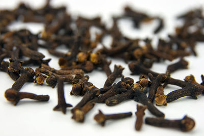 Close-up of cloves on white background