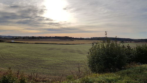 Scenic view of field against sky during sunset