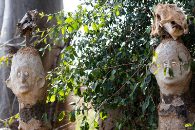 Stone busts amidst plants