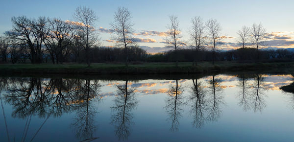 Reflection of trees in lake against sky