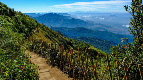 Scenic view of vineyard against sky