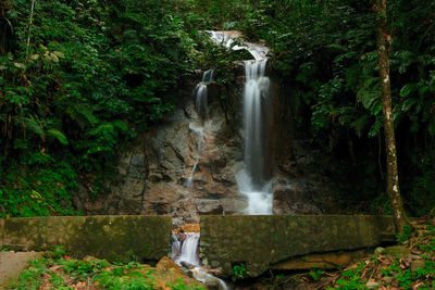 Waterfall in forest