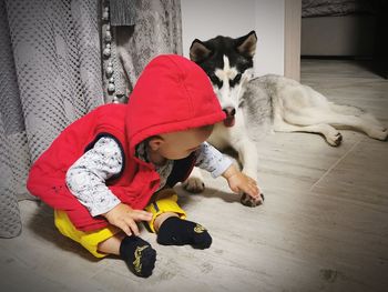 Baby and dog relation