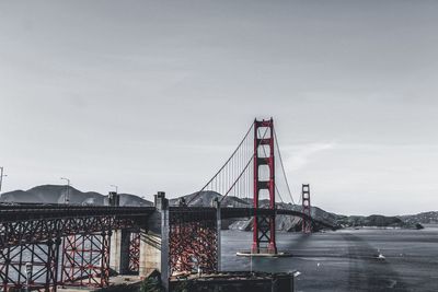 View of tree against sky