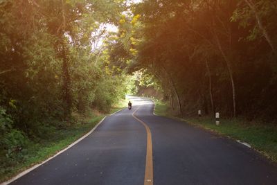 Country road amidst trees and plants