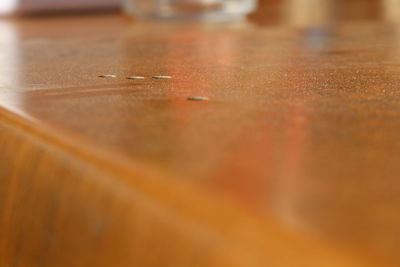 Close-up of table