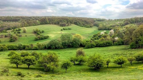 Scenic view of green landscape against sky