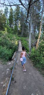 Rear view of little girl walking on a hiking trail, crossing a bridge 
