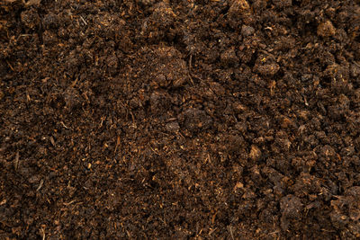 soil