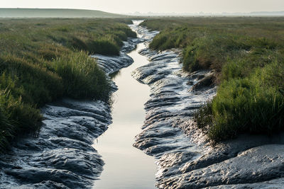 Scenic view of waterfall