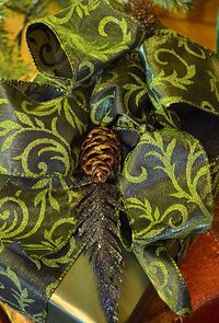 Close-up of butterfly on leaf