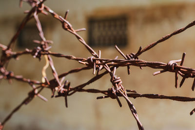 Close-up of barbed wire fence