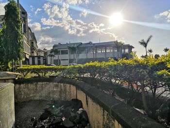 Plants growing outside building against sky on sunny day