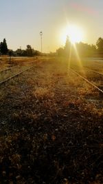 Scenic view of field against sky during sunset