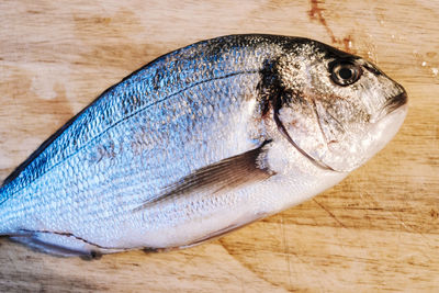 High angle view of fish on table