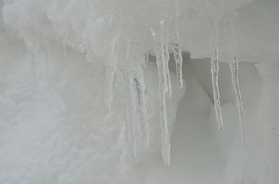 Close-up of frozen ice