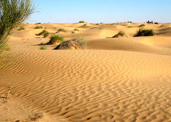 Scenic view of desert