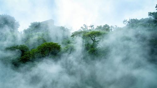 Scenic view of trees against sky