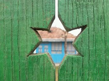 Close-up of green leaves on wooden surface