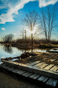 Reflection of bare trees in lake