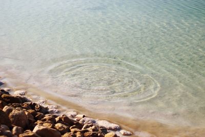 Scenic view of sea