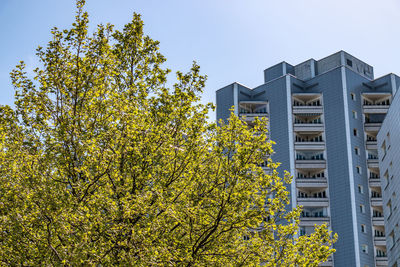 Low angle view of tree by building against sky