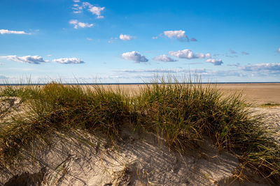 Scenic view of beach against sky