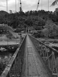 Footbridge amidst trees in forest against sky