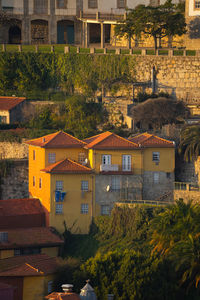 Buildings in town