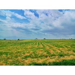 Scenic view of grassy field against cloudy sky