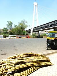 View of trees against clear blue sky