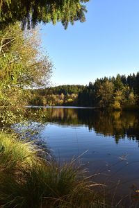 Scenic view of lake in forest against clear sky