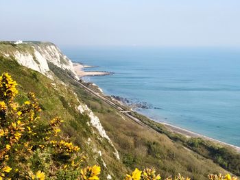 White cliffs in spring