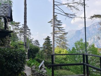 Scenic view of trees and mountains against sky